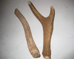 K9 Magic Antler Chew - Large - each
